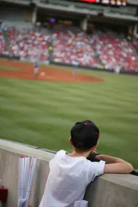 Child watching a baseball game